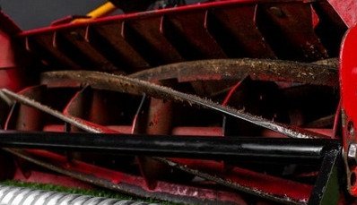 Reel Mower (2)